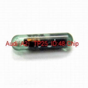 AUDI（A2）TP25 ID48 Chip 10pcs